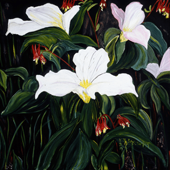 Trilliums